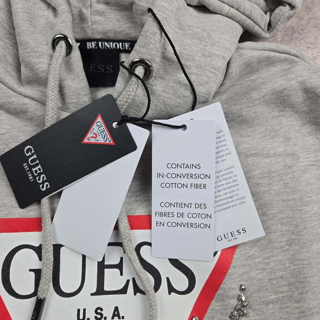 Sweat à capuche GUESS