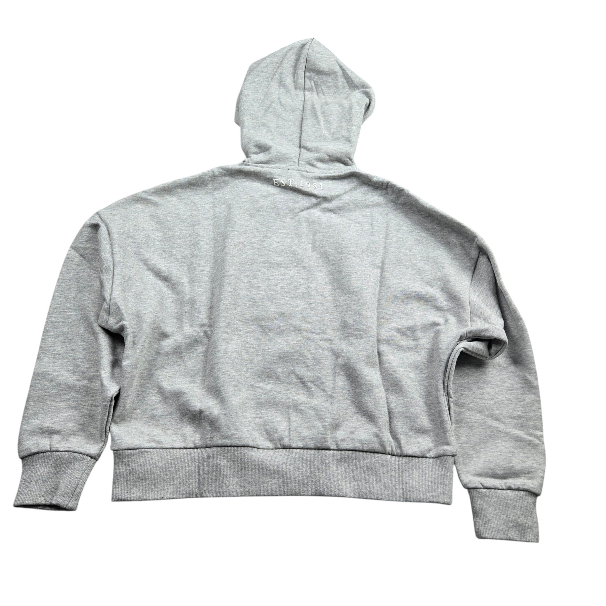 Sweat à capuche GUESS